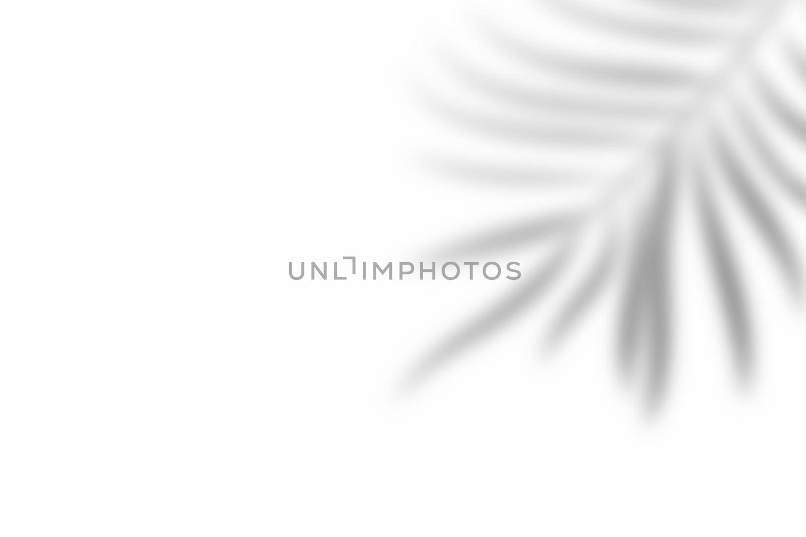 Shadow of leaf overlay on white texture background. Use for decorative product presentation. by kaisorn