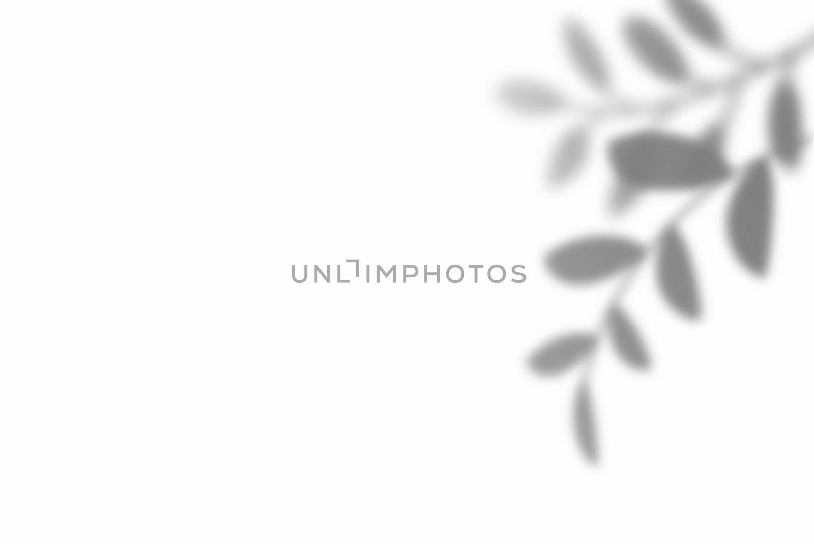 Shadow of leaf overlay on white texture background. Use for decorative product presentation. by kaisorn