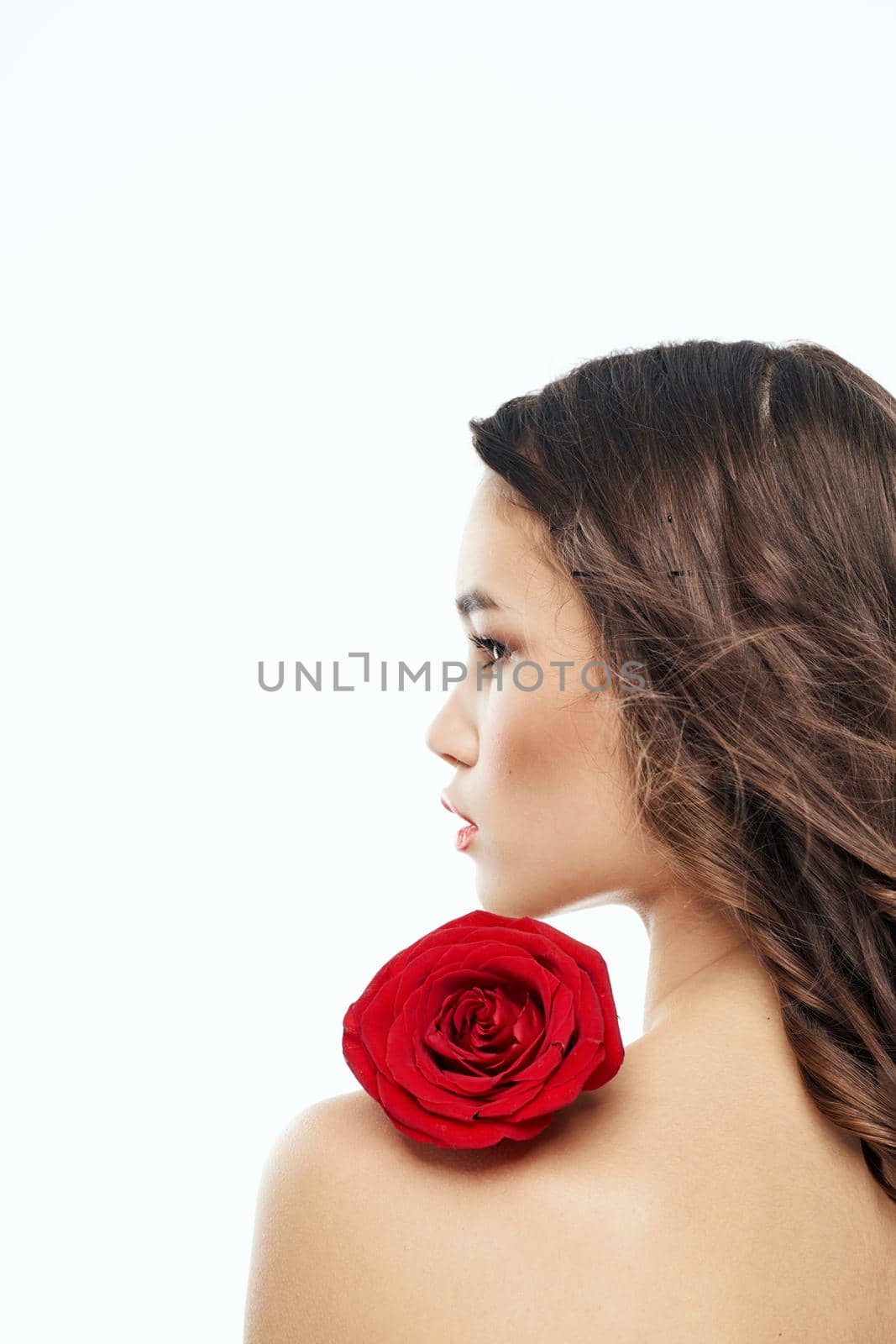 Back view of attractive brunette with red rose on naked shoulder. High quality photo