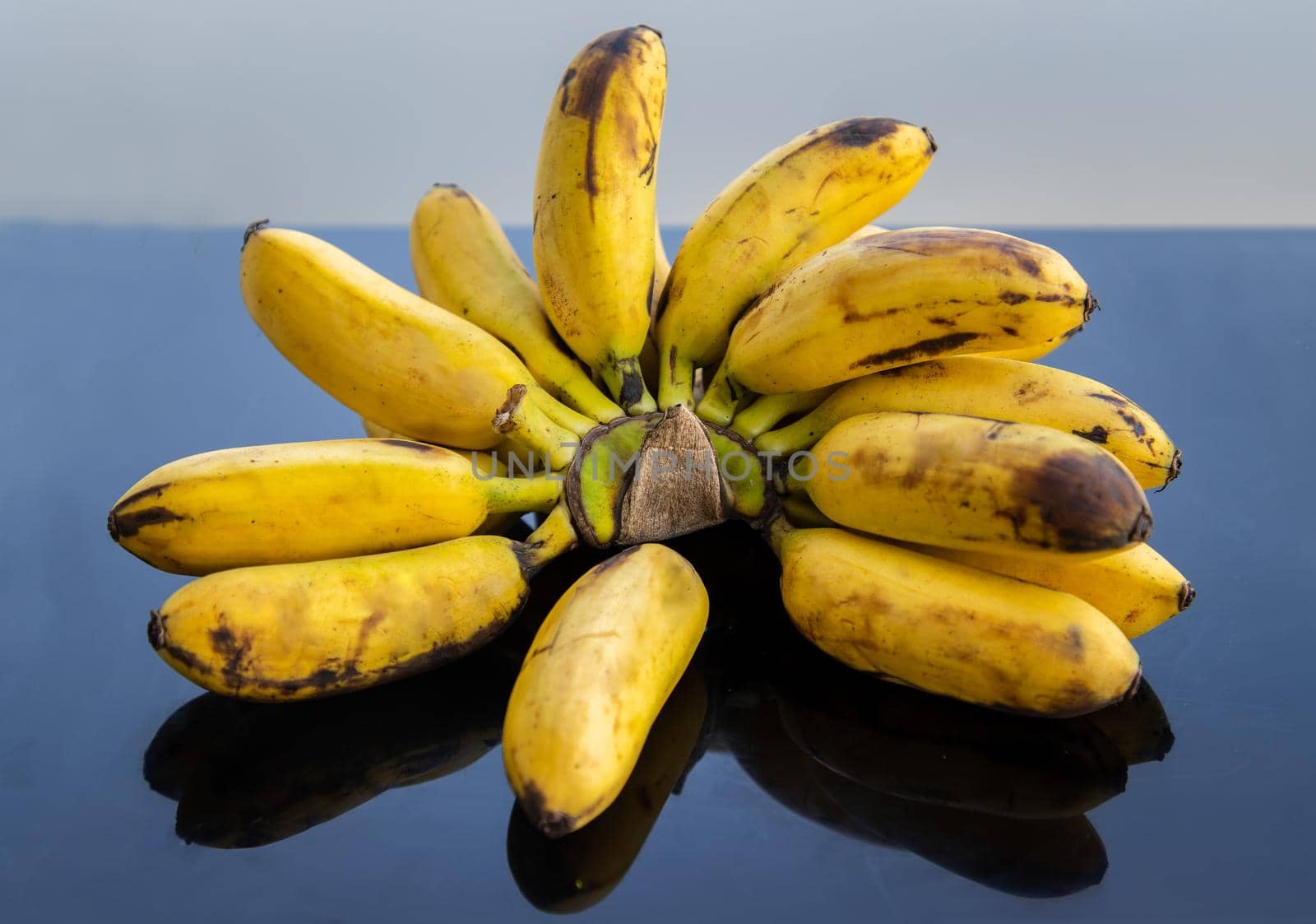 Bunch of Lady finger bananas.Tropical Fruit Natural Product on black table. Selective focus.