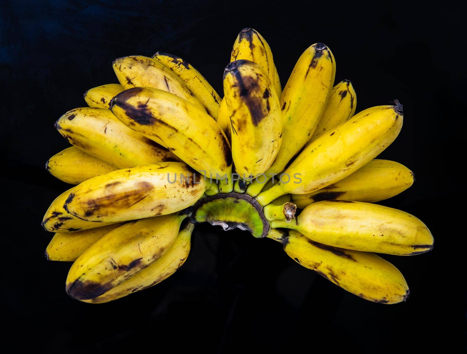 Bunch of Lady finger bananas.Tropical Fruit Natural Product on black table. Selective focus.