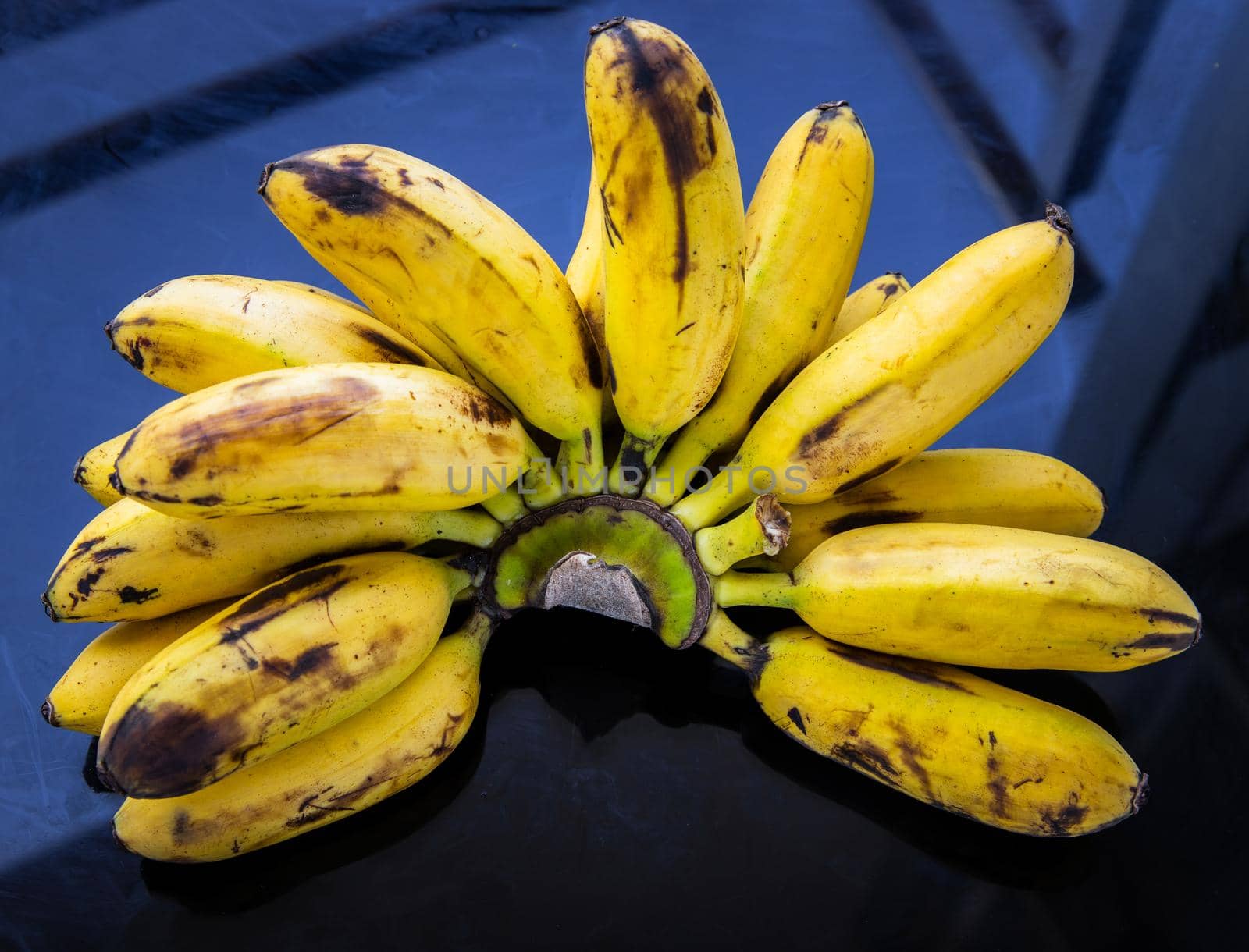 Bunch of Lady finger bananas.Tropical Fruit Natural Product on black table. Selective focus.
