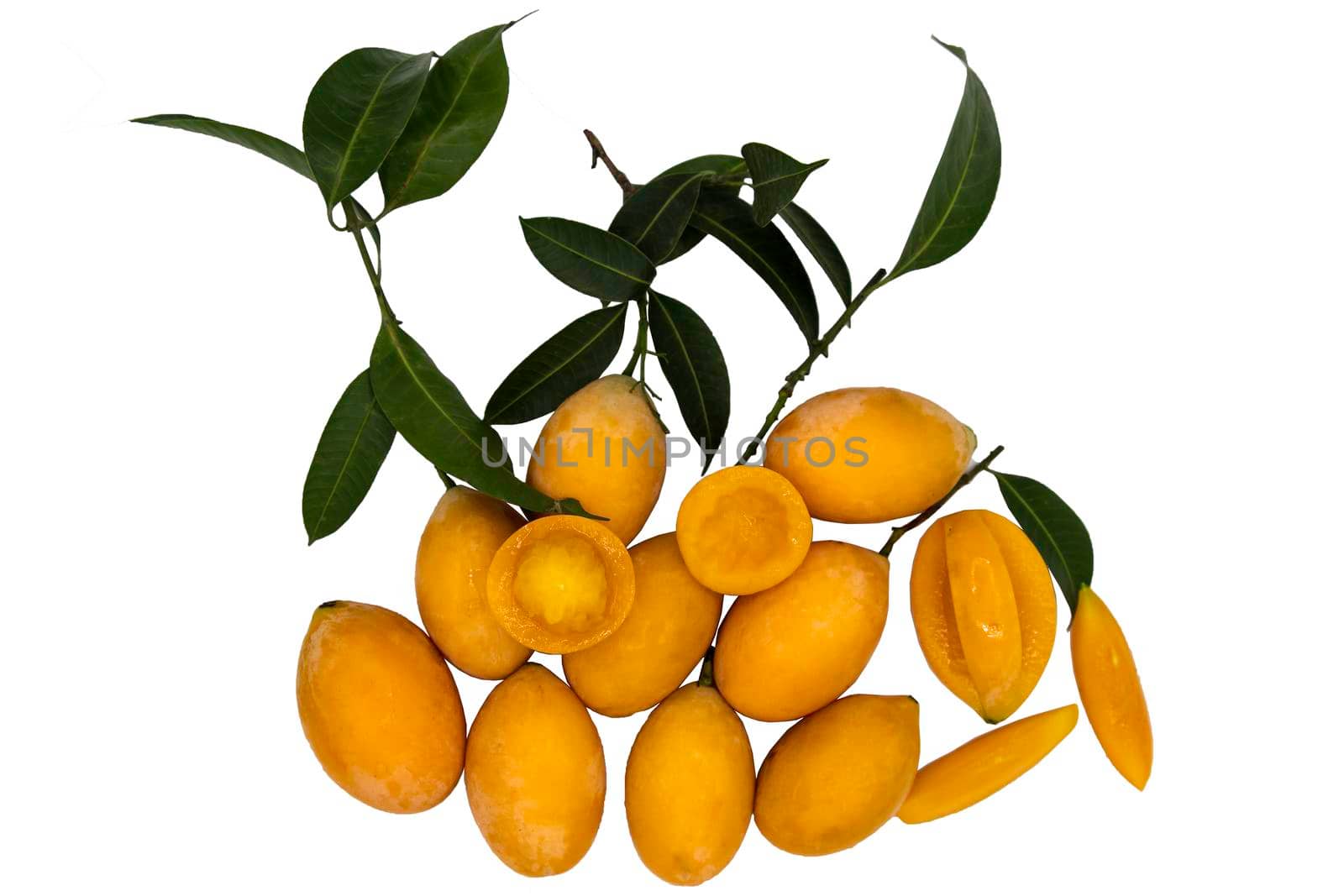 Fresh marian plums sweet yellow or mayong-chit with green leaf isolated on white background with clipping path. Concept of exotic tropical fruits, Top view, Selective focus.