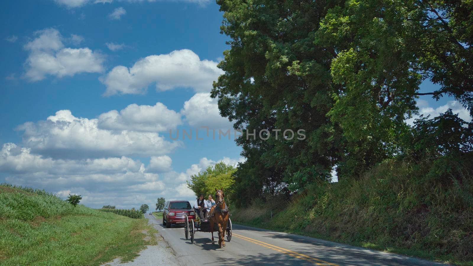 Ronks, Pennsylvania, July 2020 - An Amish Couple in a Open Horse and Buggy on a Sunny Day