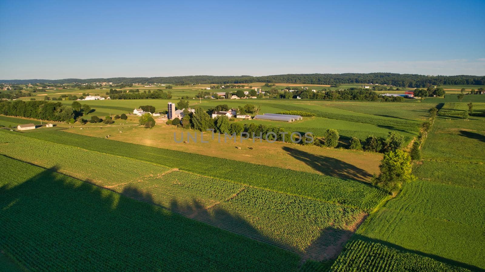 An Aerial View on An Amish Farmlands with Crops and Cows on a Sunny Afternoon
