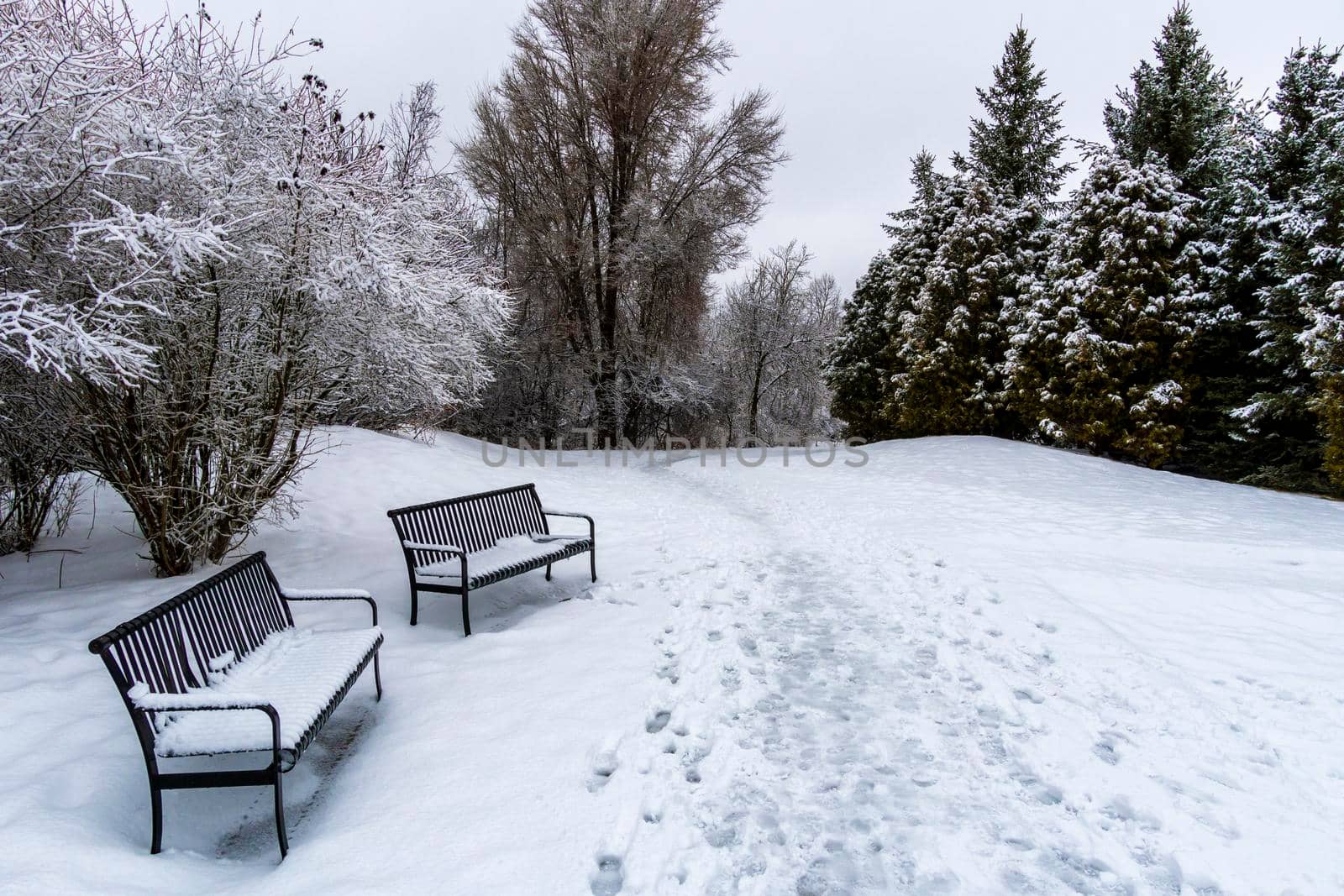 Two metal benches, covered with snow, stand alone near the path in the park