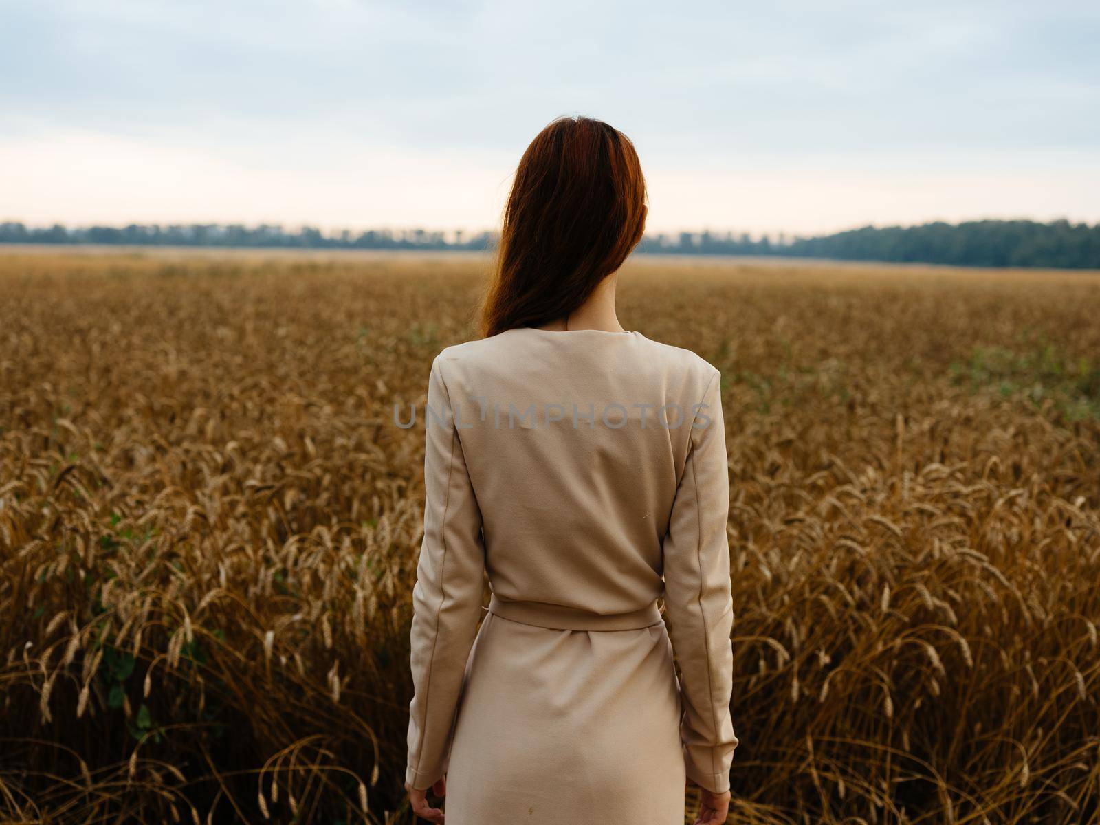 Back view of romantic woman outdoors in the fields. High quality photo
