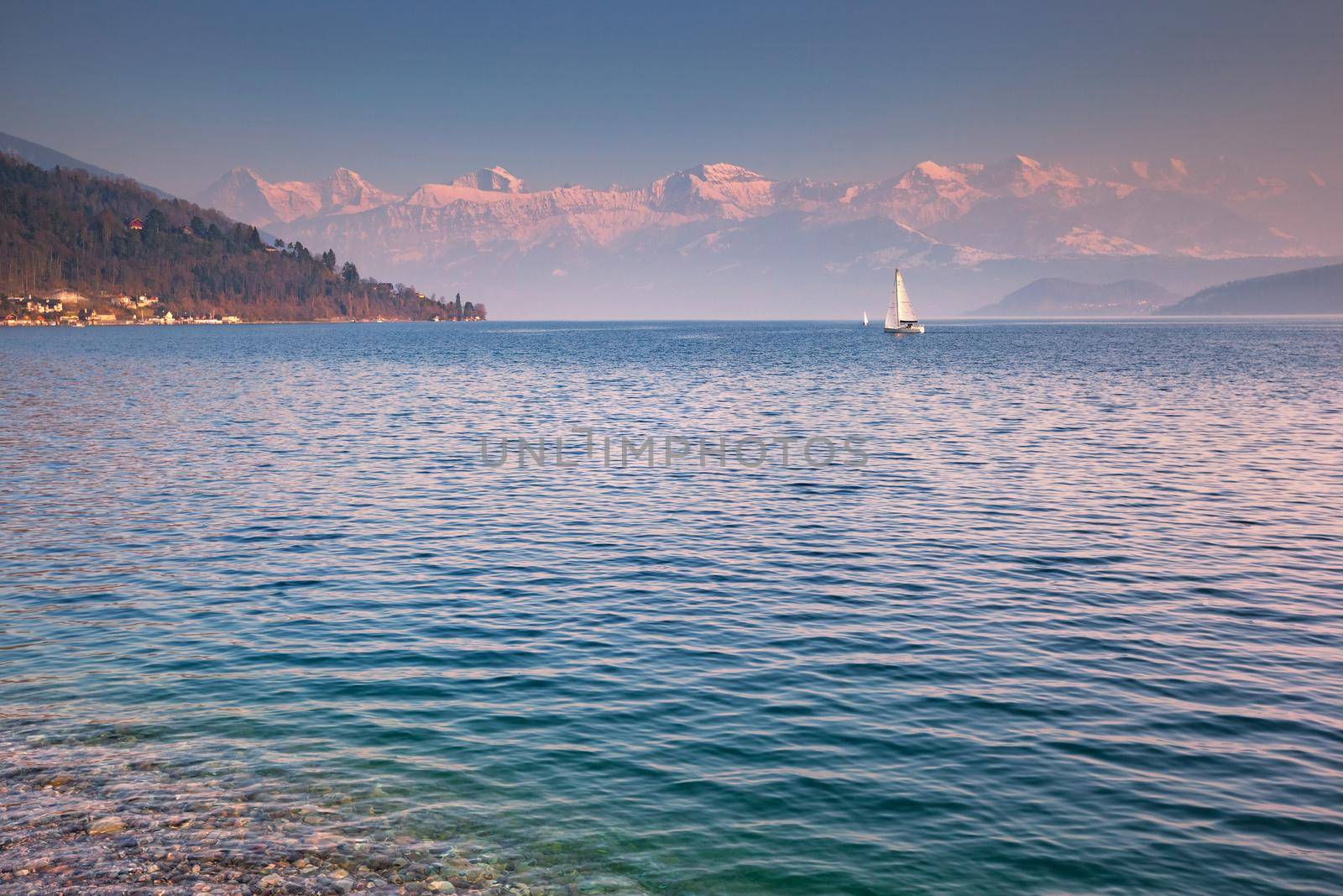 sailing boat on the lake Thun, Bernese Oberland, Switzerland