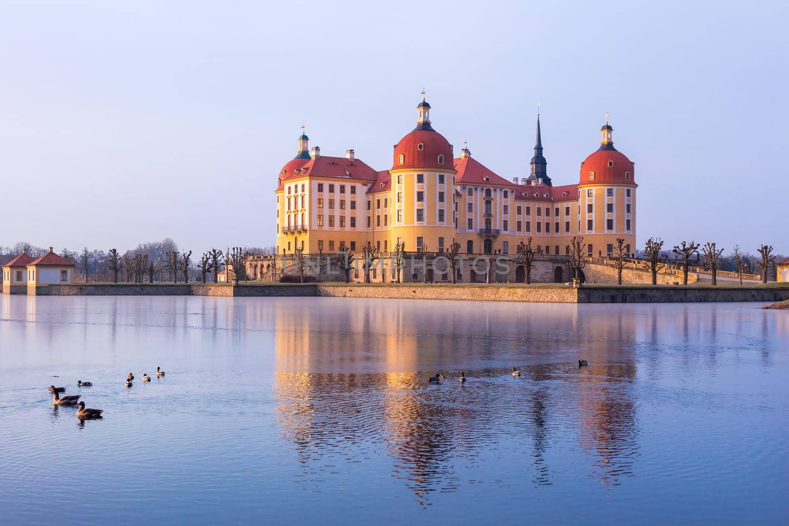 Moritzburg castle after sunrise at winter time, Germany by zhu_zhu