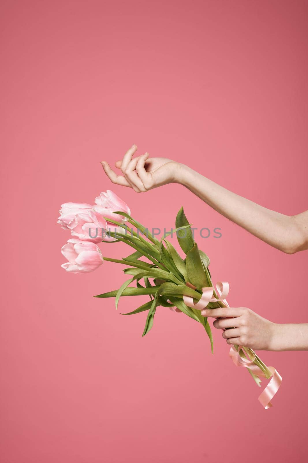 Bouquet of flowers in hands pink background gift womens day by SHOTPRIME