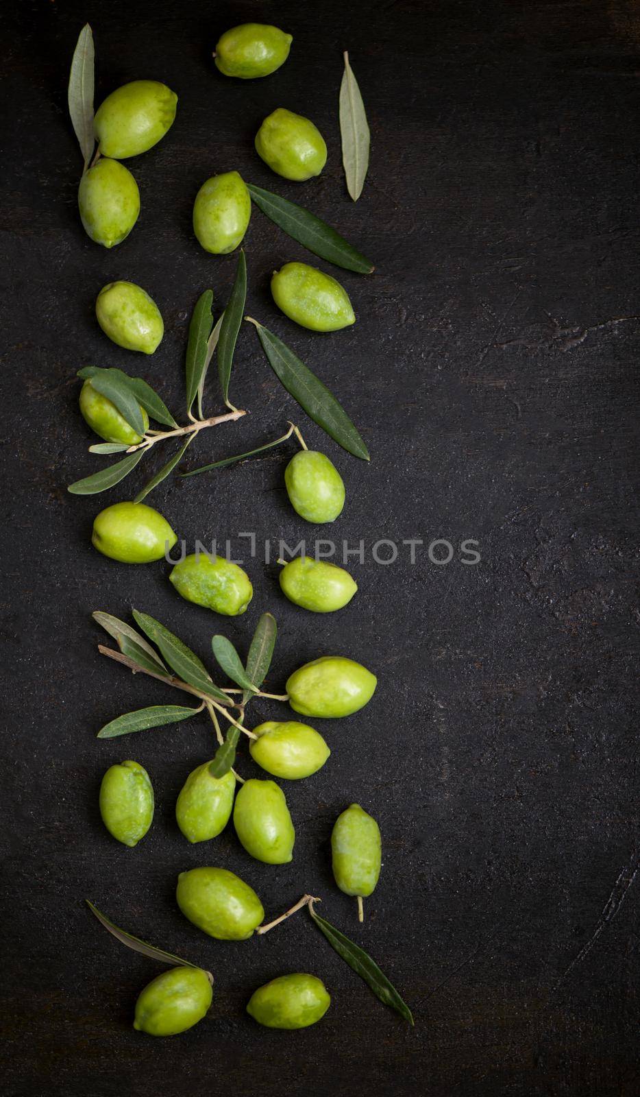 Olive oil and olive branch on the black background