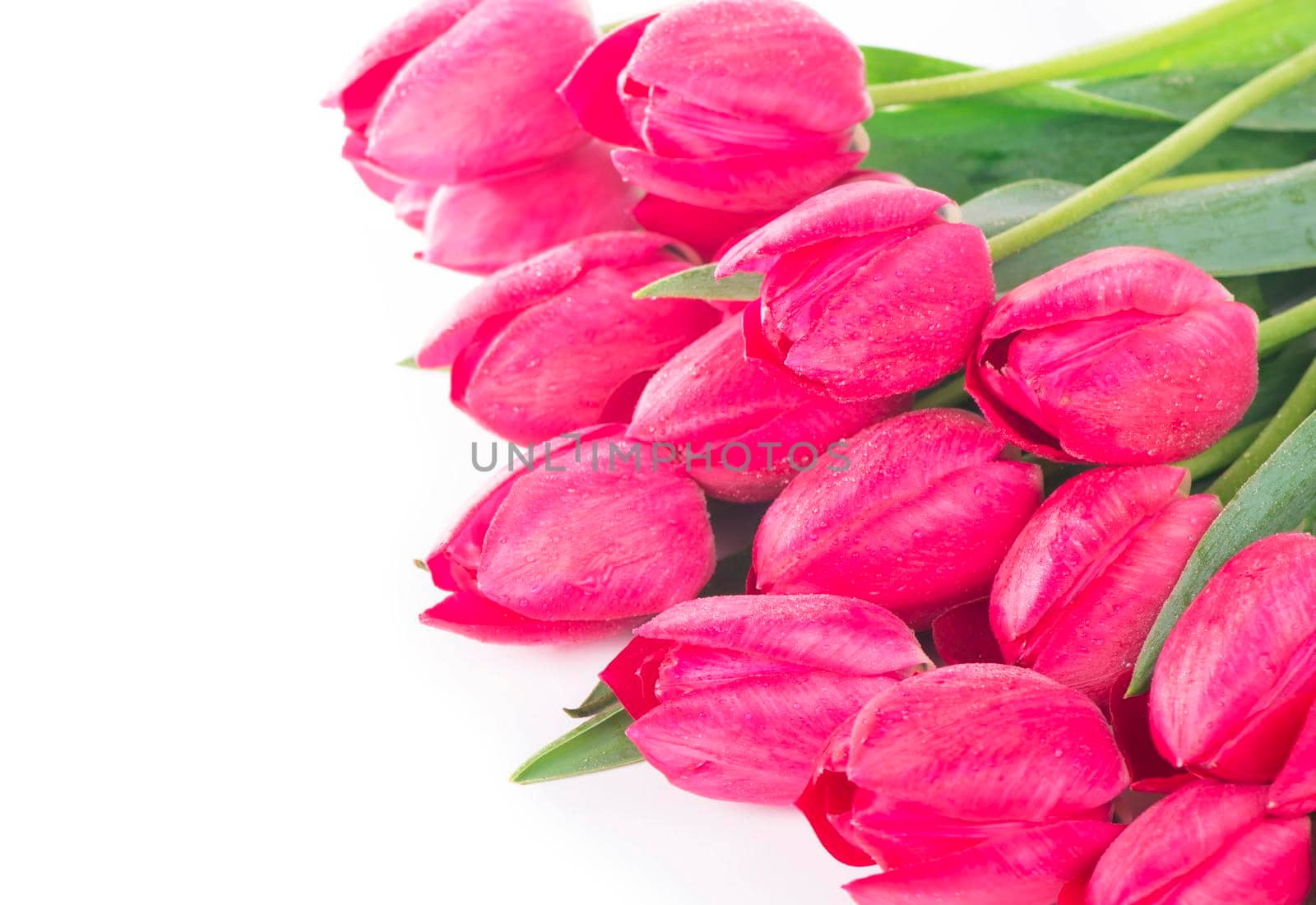 Spring color tulips in a bouquet with pink, red beautiful flowers isolated by aprilphoto