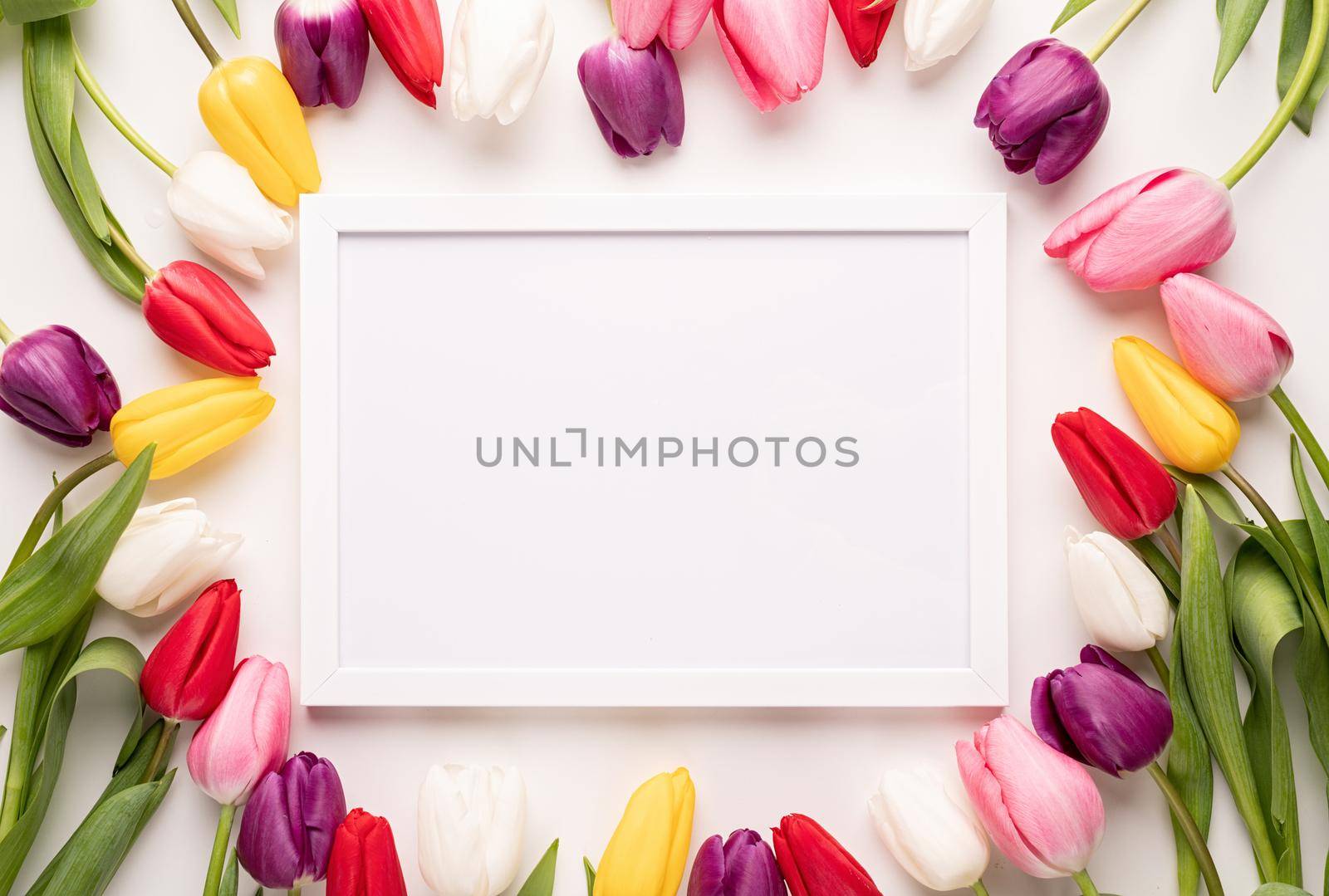 Frame mock up with beautiful colorful tulips on white background. Flat lay, top view.