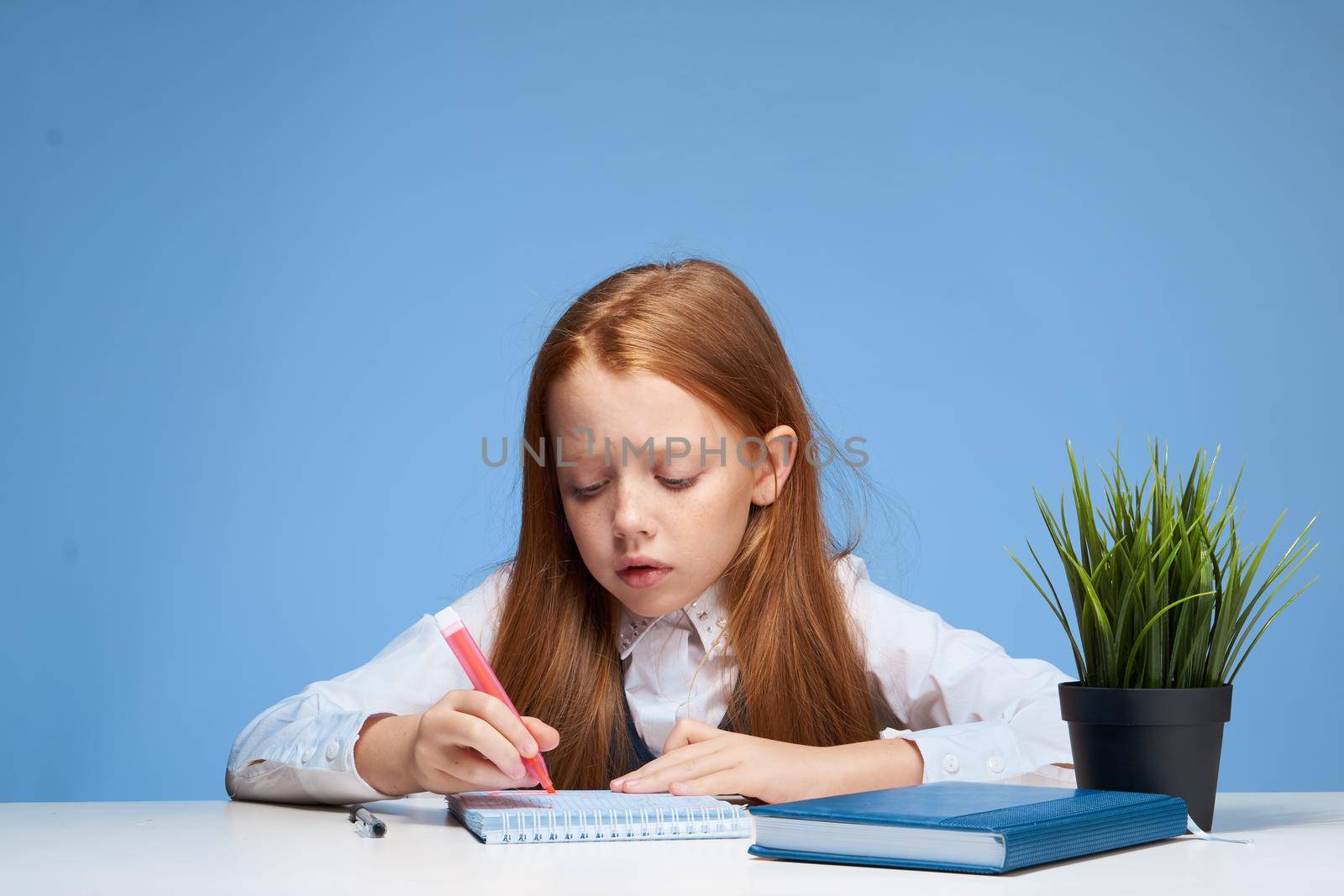 red-haired schoolgirl doing lessons school learning lifestyle. High quality photo
