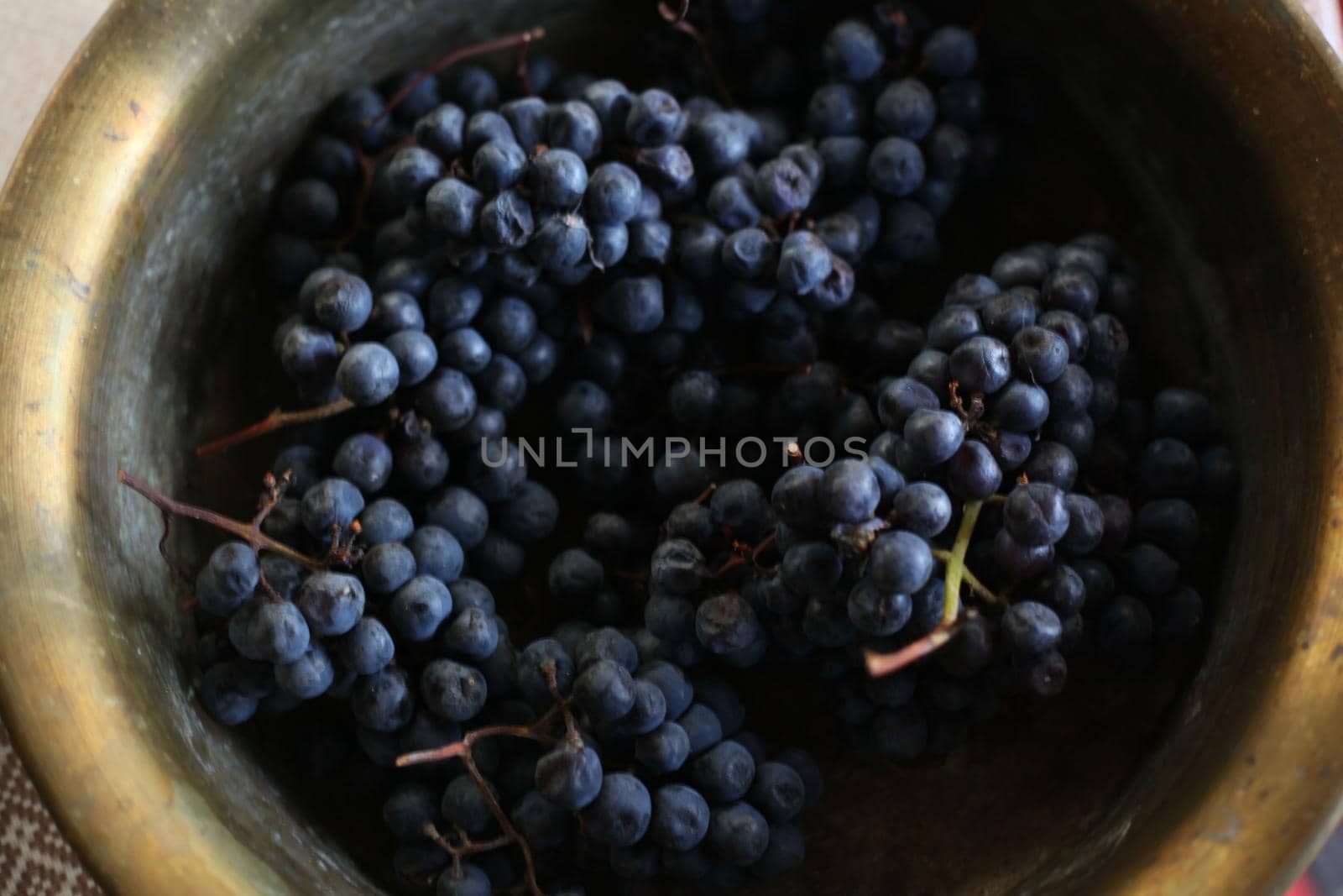 The grapes are blue ripe in a bucket, a view from above. High quality photo