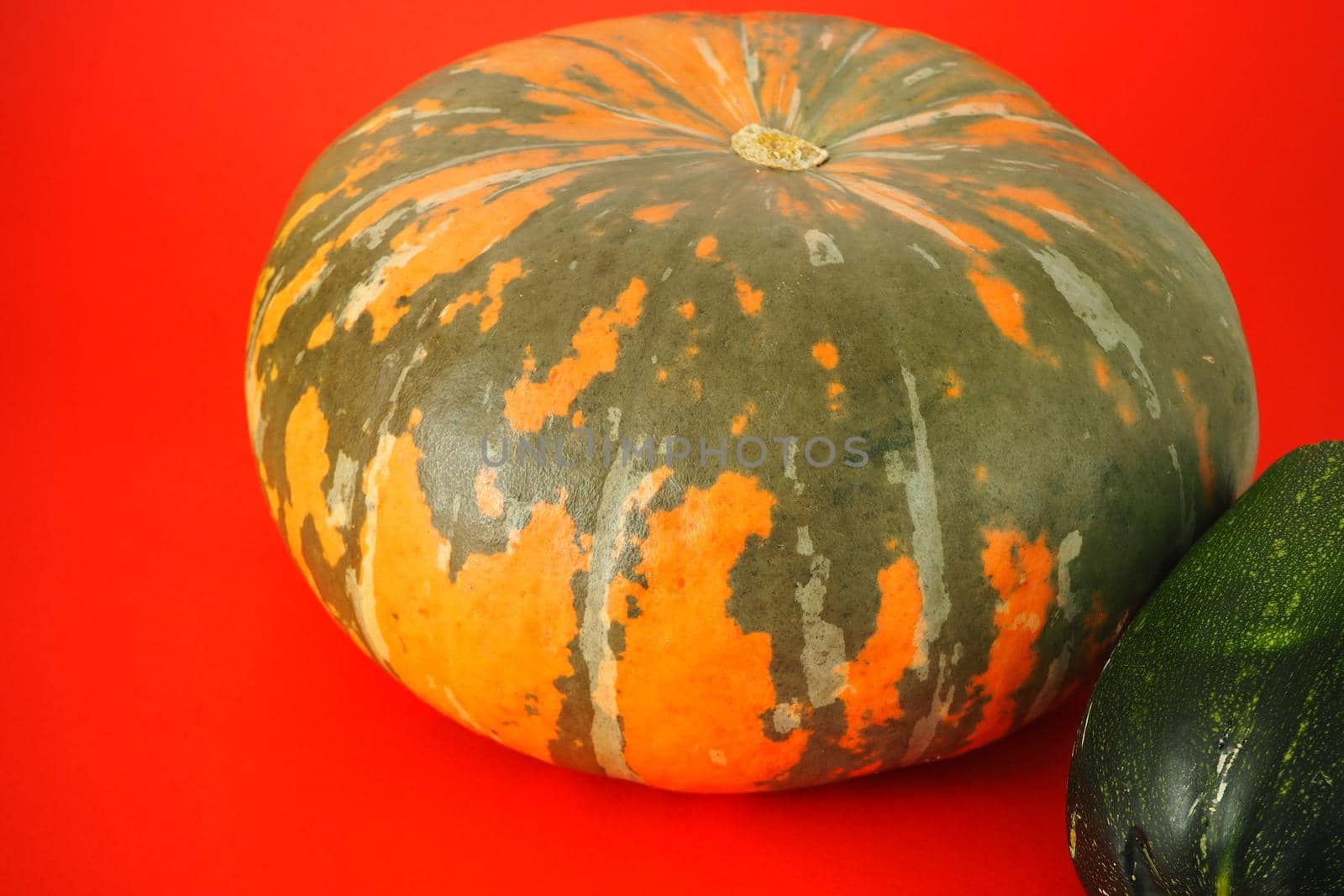 A ripe orange pumpkin on a red background. High quality photo