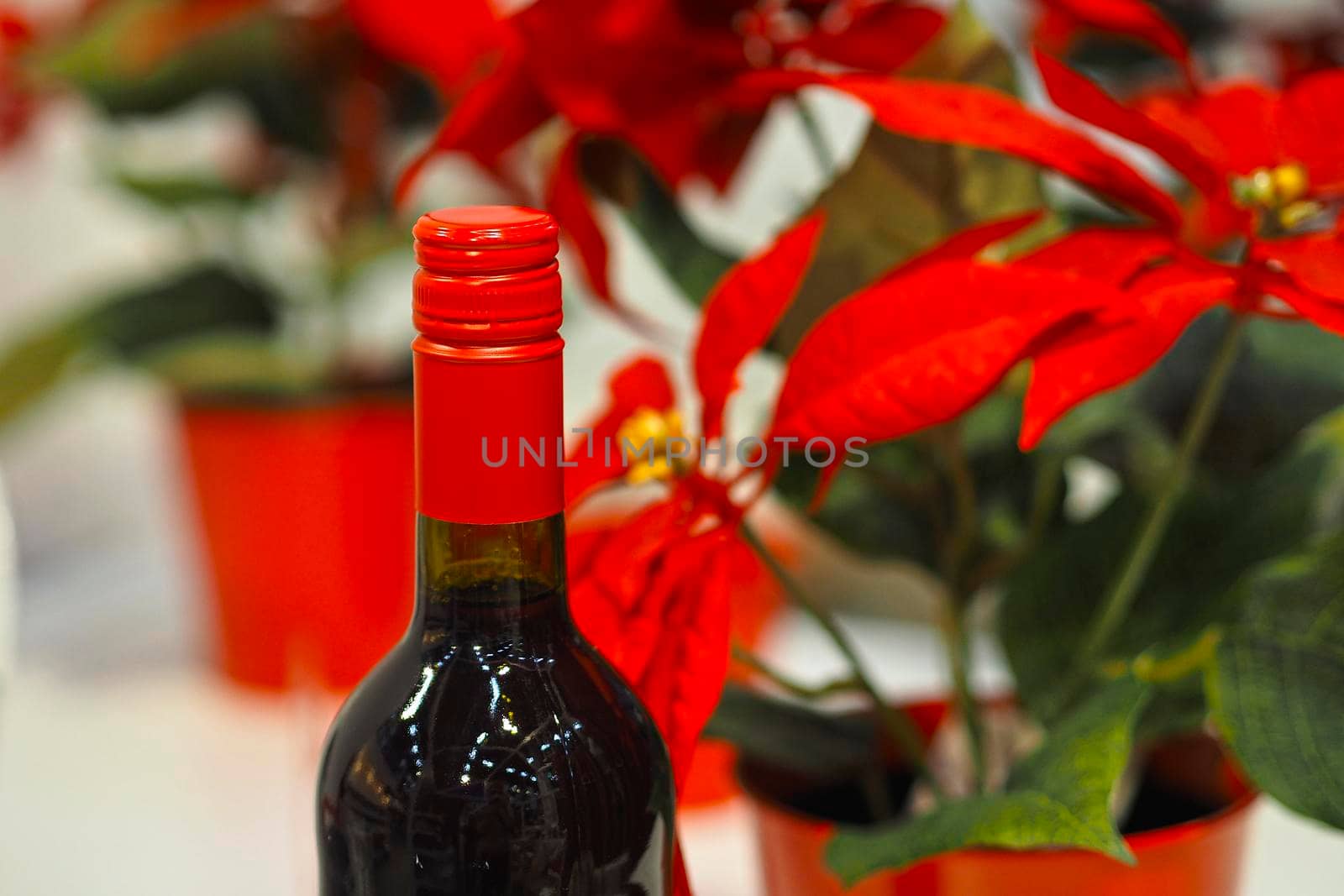 A bottle of red wine on the table. High quality photo