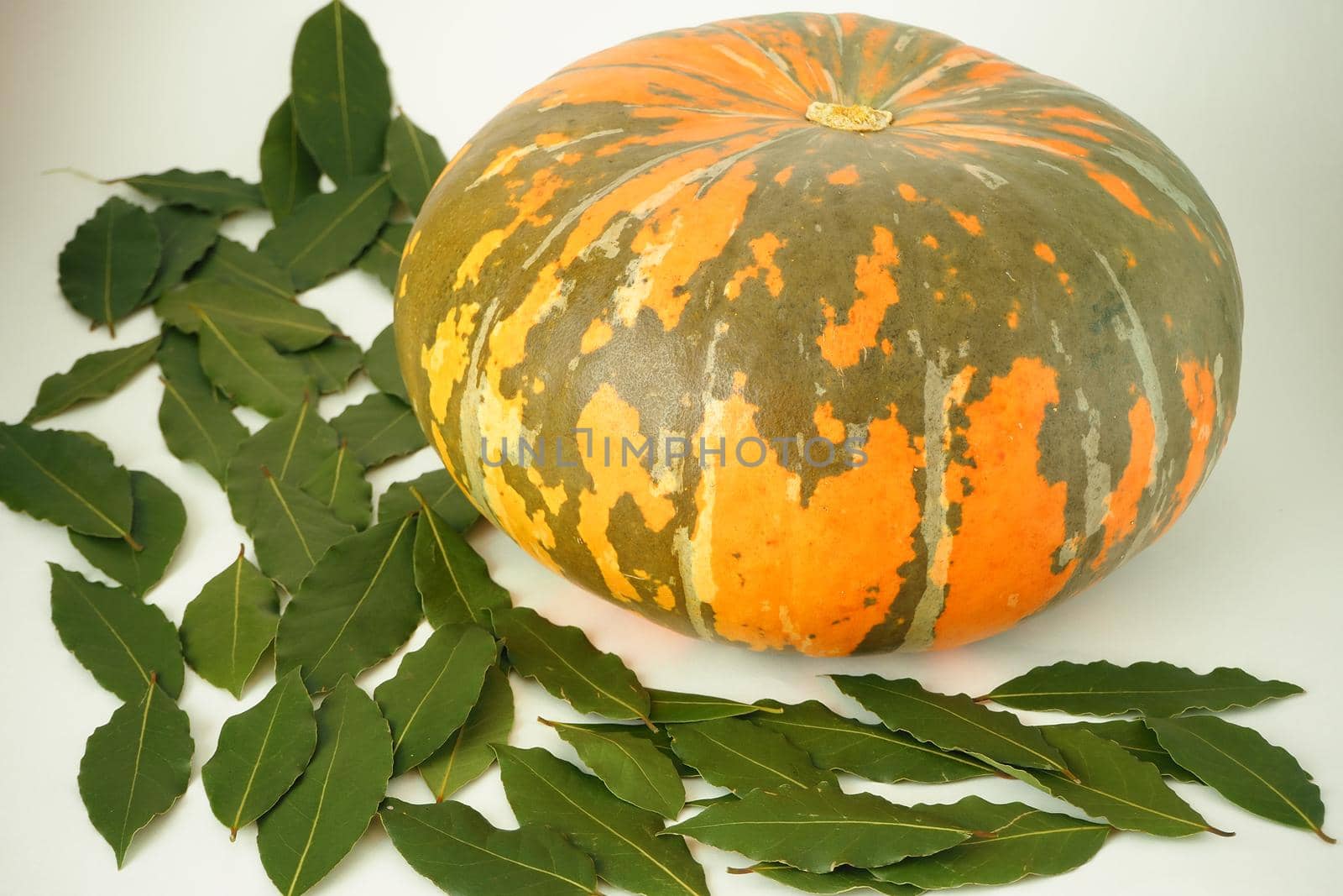 Ripe orange pumpkin and green ripe zucchini on a white background. by Olga26