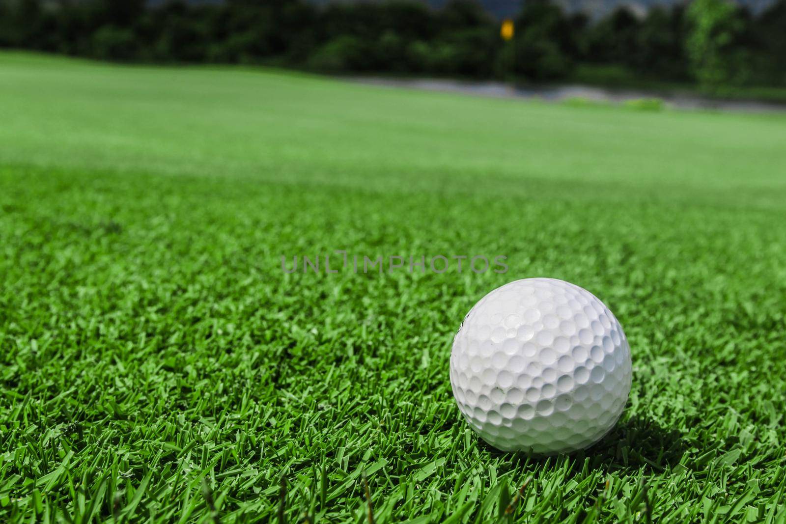 Golf ball on green grass of golf course, copy space