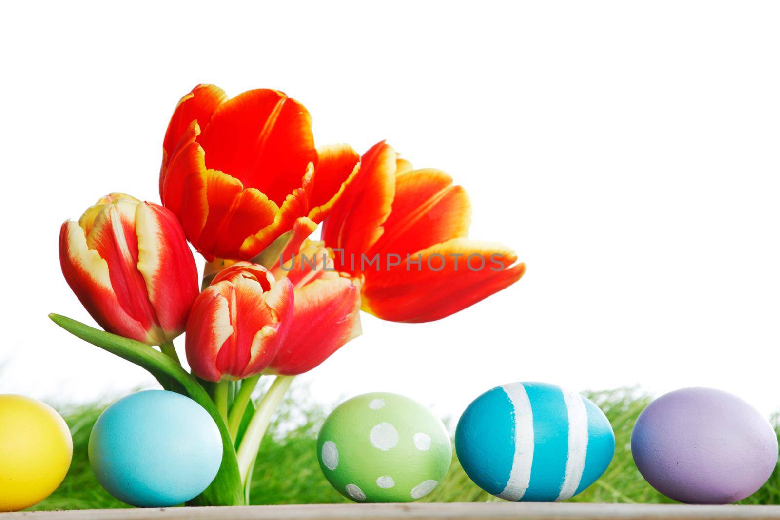 Easter eggs with tulips on spring grass background