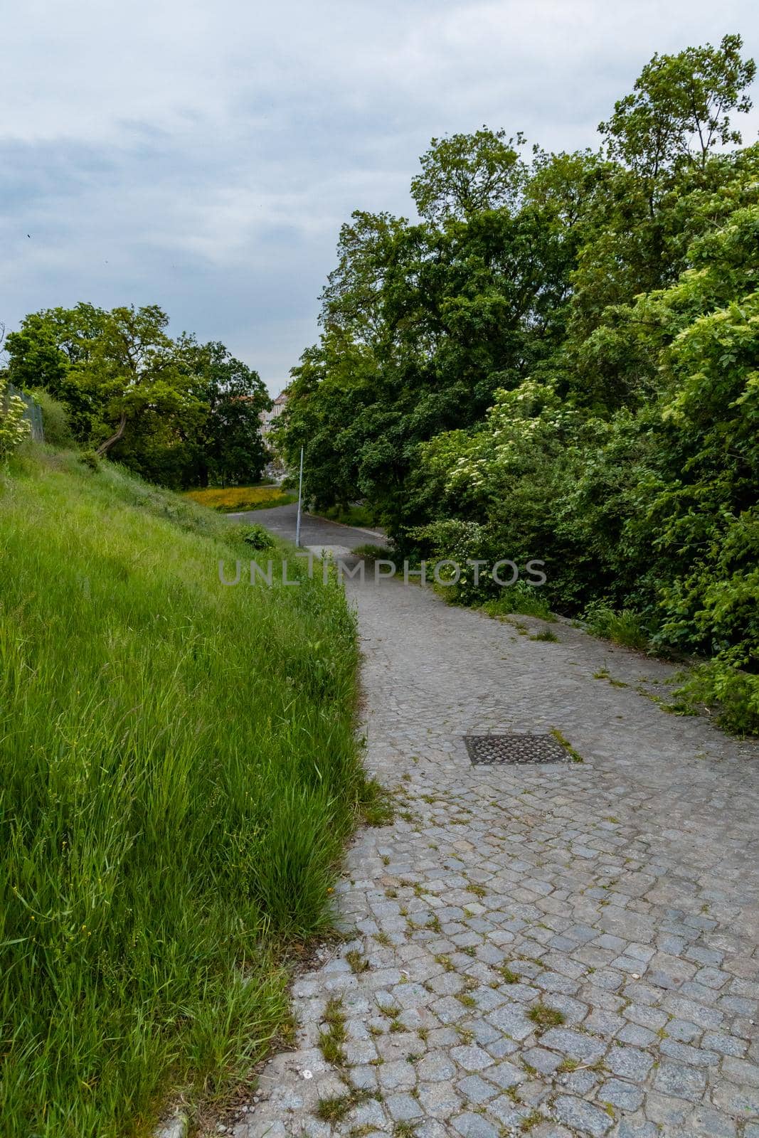 Long brick path to down of small hill at cloudy day