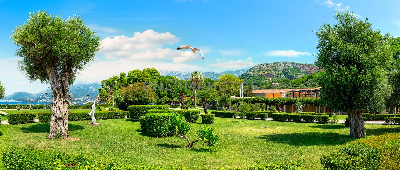 Park near the island of Sveti Stefan