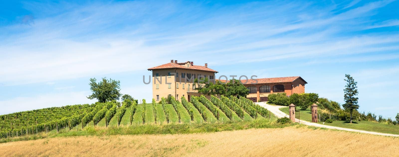 ASTI, ITALY - CIRCA AUGUST 2020: Piedmont hills in Italy, Monferrato area. Scenic countryside during summer season with vineyard field. Wonderful blue sky in background.