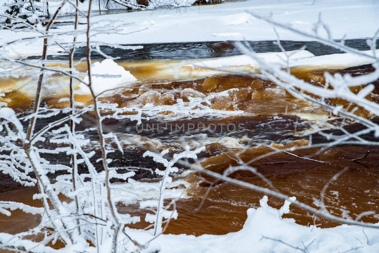 The wild frozen small river in the winter wood, the wild nature at sunset, the river of red color, ice, snow-covered trees by vladimirdrozdin