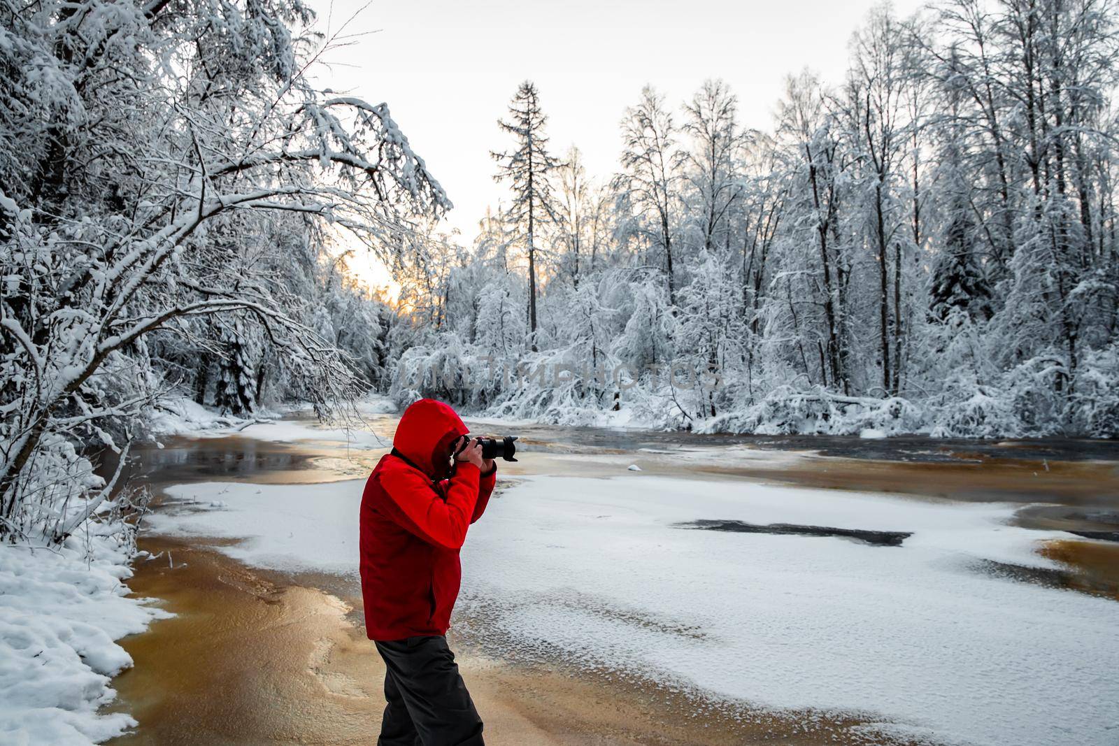 The photographer does to a photo the wild nature at sunset, the wild frozen small river in the winter wood, the Red River, ice, snow-covered trees by vladimirdrozdin