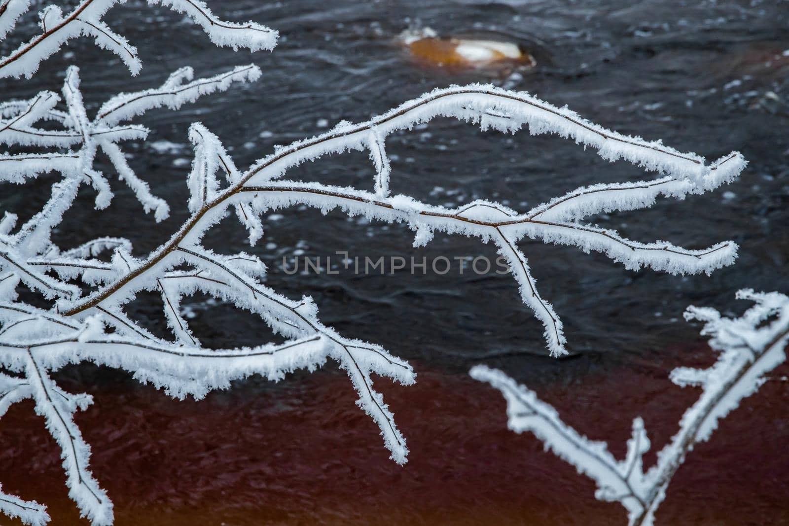 The wild frozen small river in the winter wood, the wild nature at sunset, the river of red color, ice, snow-covered trees by vladimirdrozdin