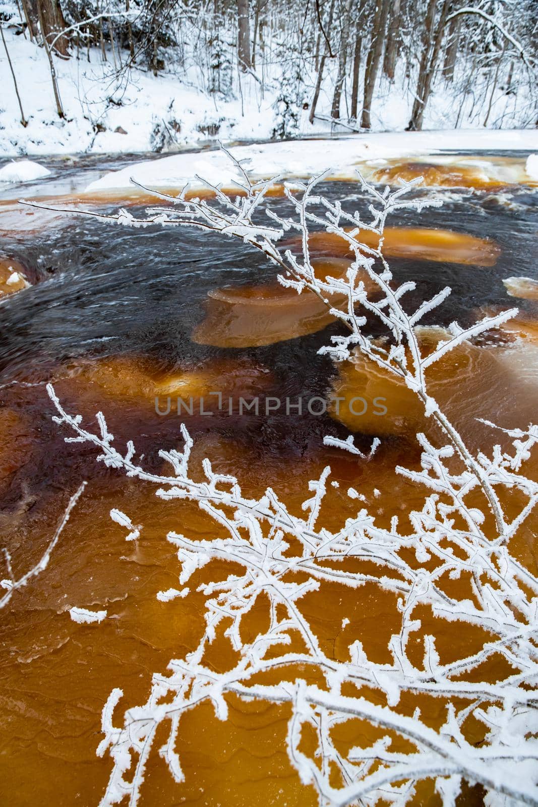 The wild nature at sunset, the wild frozen small river in the winter wood, the Red River, ice, snow-covered trees. High quality photo