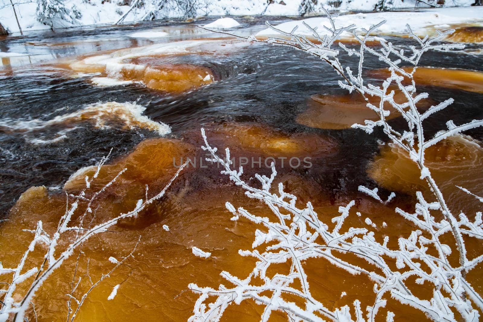 The wild nature at sunset, the wild frozen small river in the winter wood, the Red River, ice, snow-covered trees. High quality photo