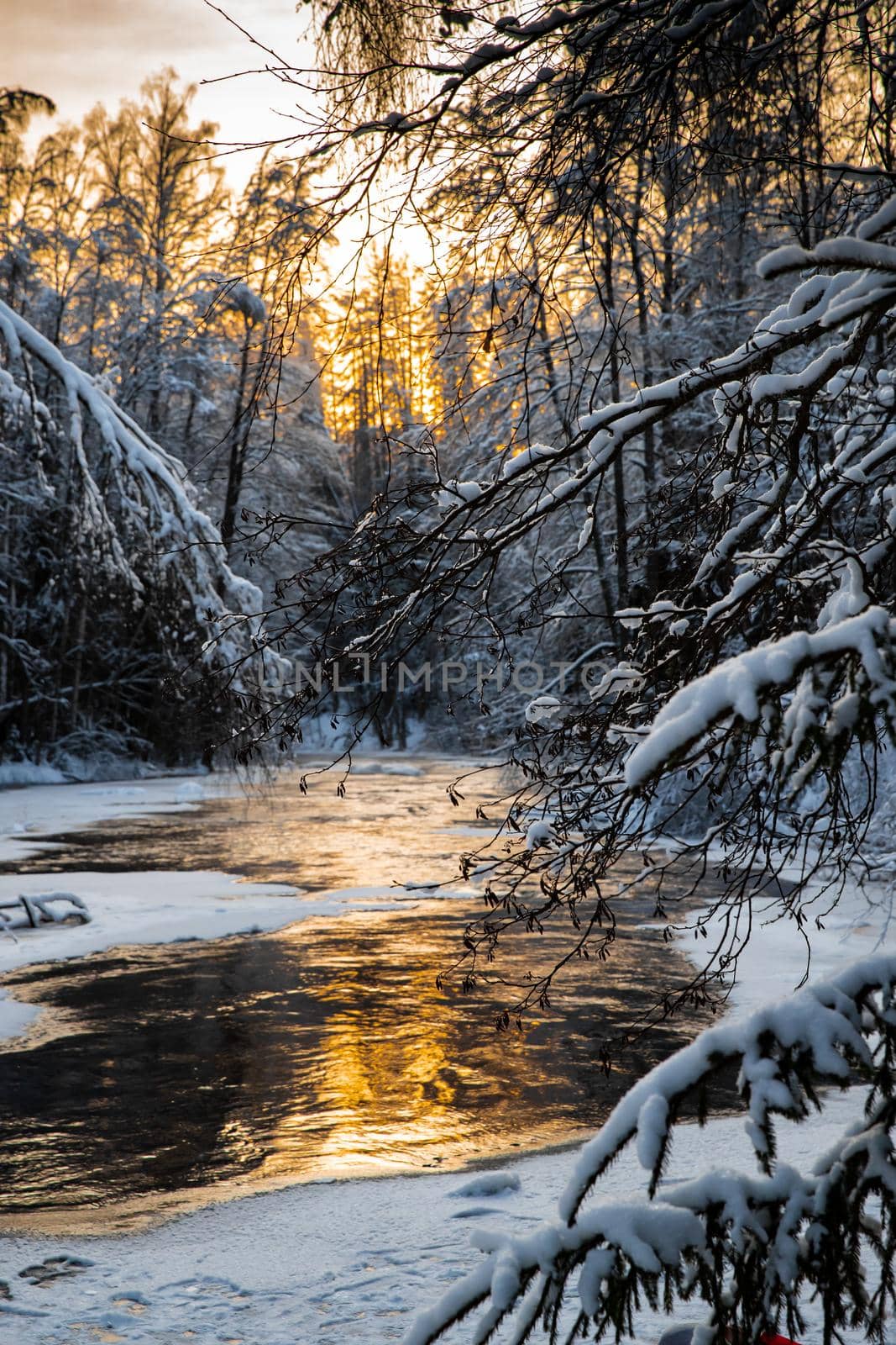 The wild frozen small river in the winter wood, the wild nature at sunset, the river of red color, ice, snow-covered trees by vladimirdrozdin