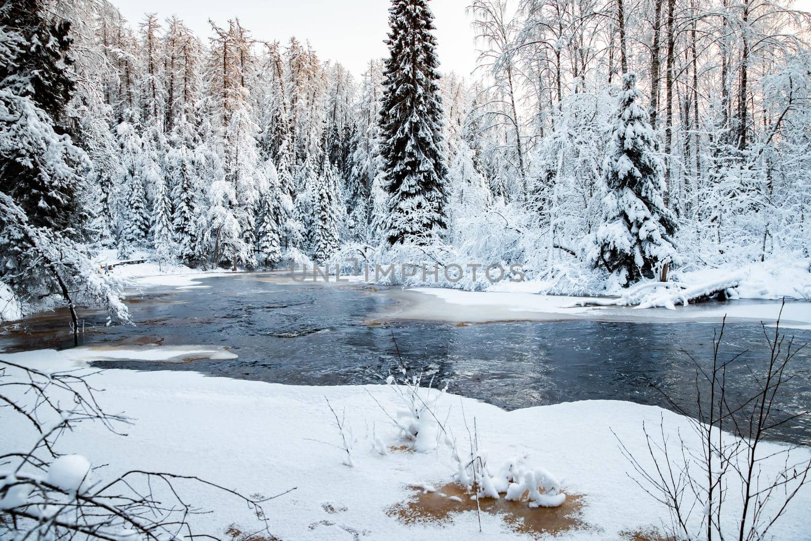 The wild nature at sunset, the wild frozen small river in the winter wood, the Red River, ice, snow-covered trees. High quality photo