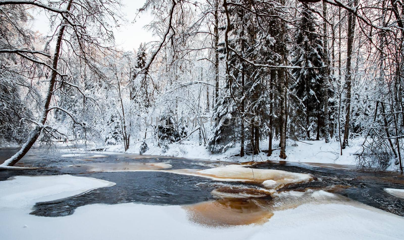 The wild nature at sunset, the wild frozen small river in the winter wood, the Red River, ice, snow-covered trees. High quality photo