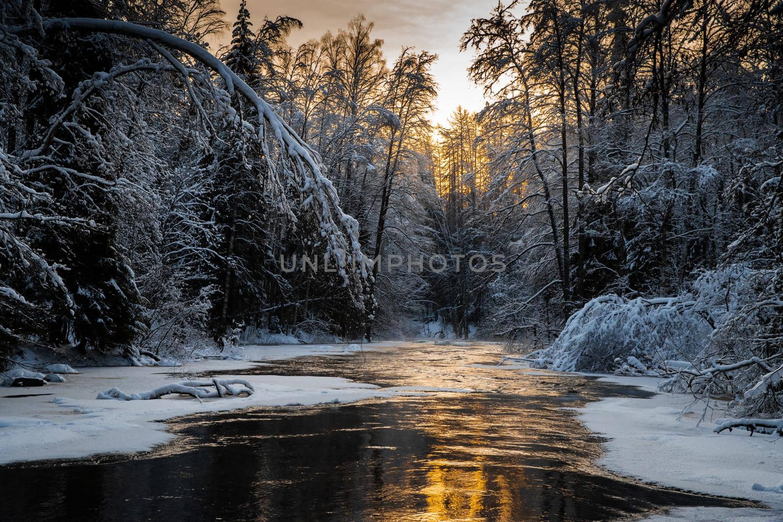 The wild frozen small river in the winter wood, the wild nature at sunset, the river of red color, ice, snow-covered trees by vladimirdrozdin