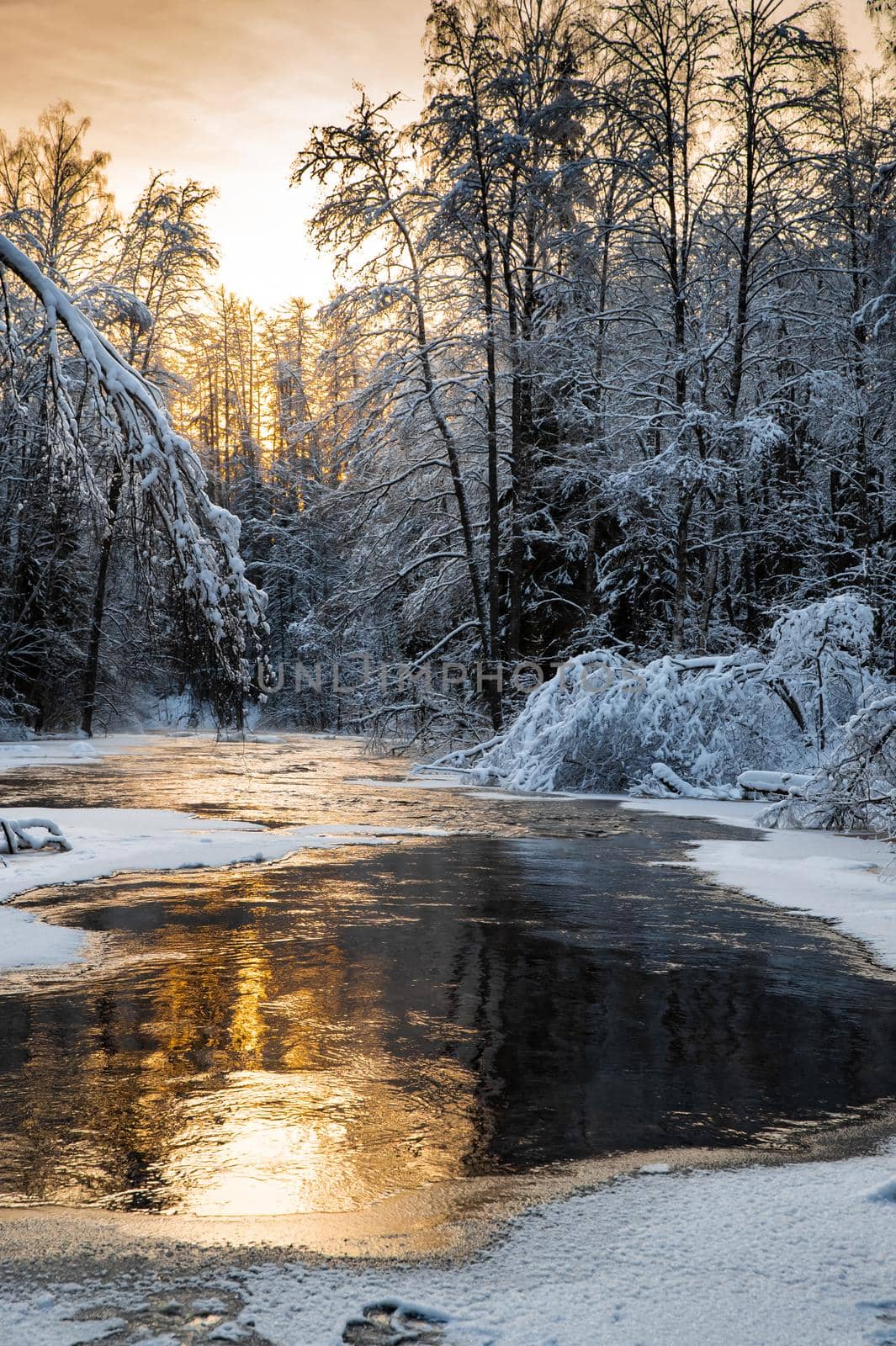 The wild nature at sunset, the wild frozen small river in the winter wood, the Red River, ice, snow-covered trees. High quality photo