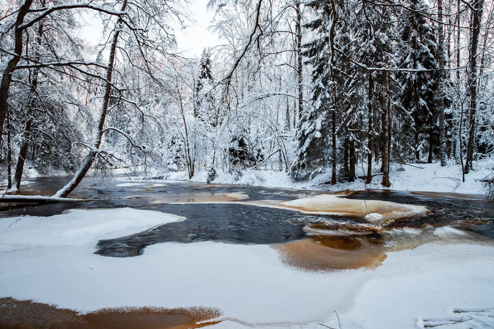 The wild nature at sunset, the wild frozen small river in the winter wood, the Red River, ice, snow-covered trees. High quality photo