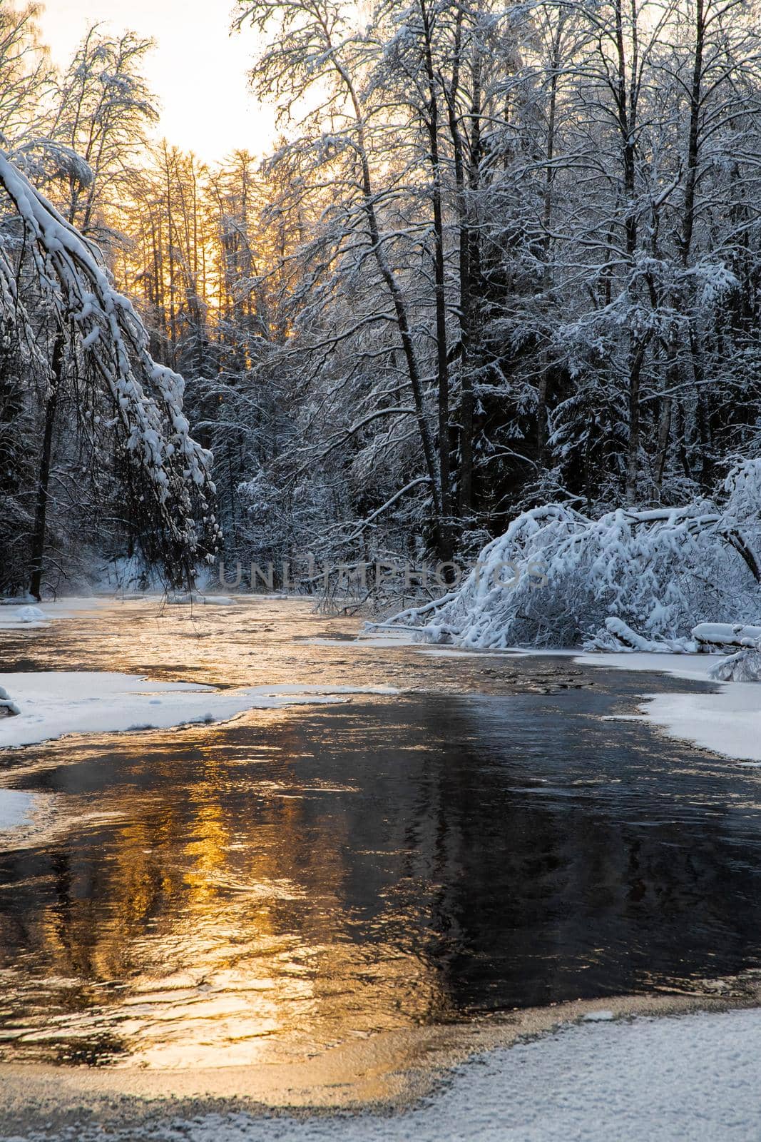 The wild frozen small river in the winter wood, the wild nature at sunset, the river of red color, ice, snow-covered trees by vladimirdrozdin