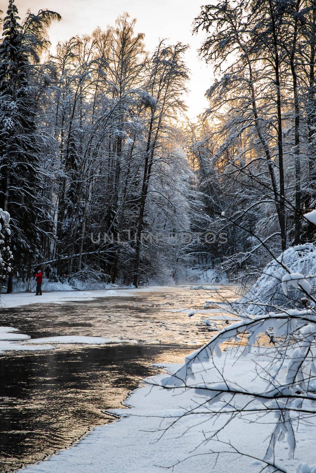 The wild frozen small river in the winter wood, the wild nature at sunset, the river of red color, ice, snow-covered trees by vladimirdrozdin