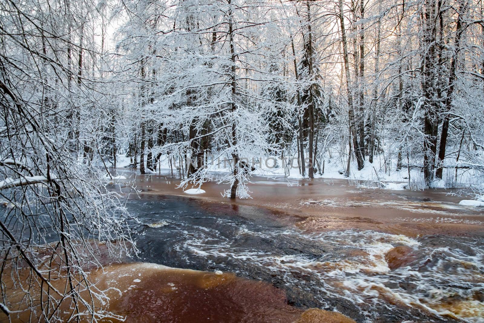 The wild nature at sunset, the wild frozen small river in the winter wood, the Red River, ice, snow-covered trees. High quality photo