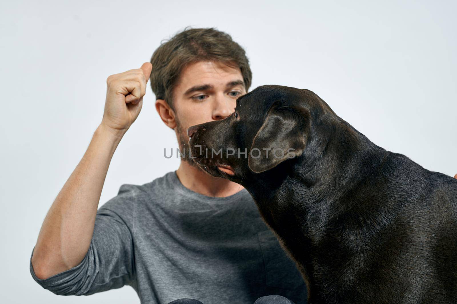 man with dog fun games recreation training pet. High quality photo