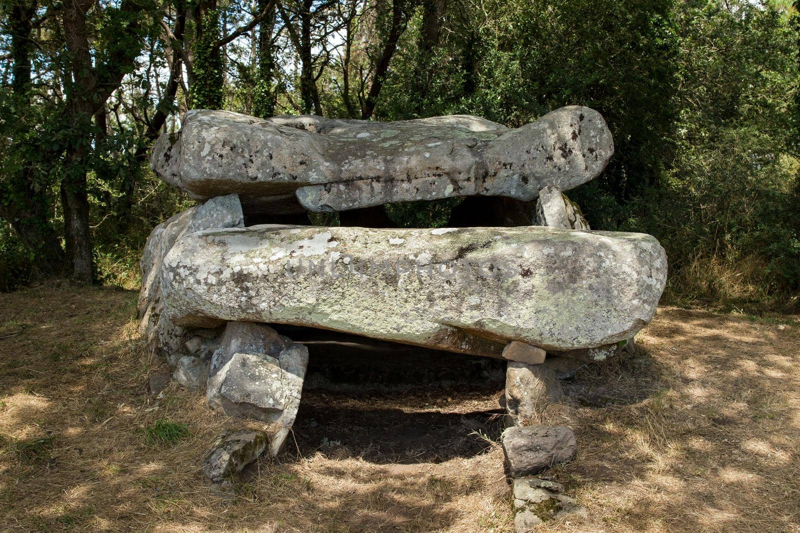 Dolmen of Roch-Feutet near Carnac in Britanny, France