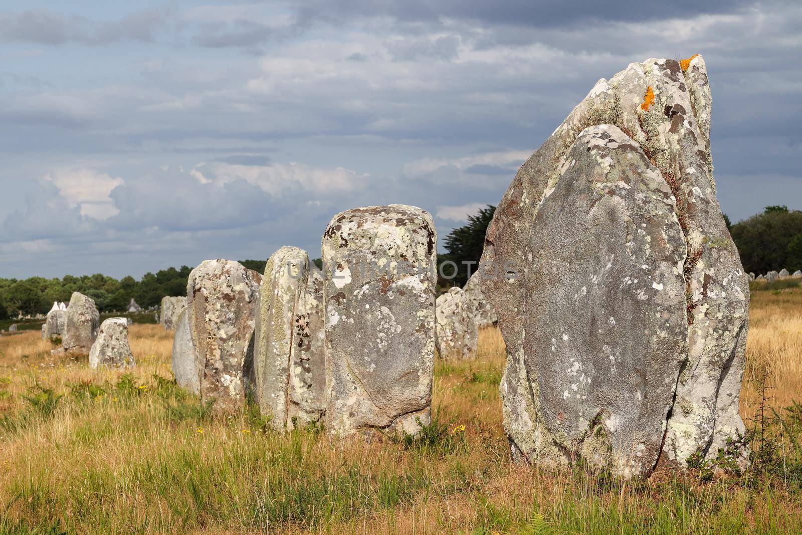 Alignments of Carnac - Carnac stones - the largest megalithic site in the world, Carnac, Brittany, France