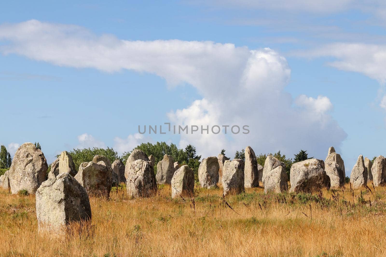 Carnac stones - Alignments of Kermario - rows of menhirs in Brittany by Mibuch