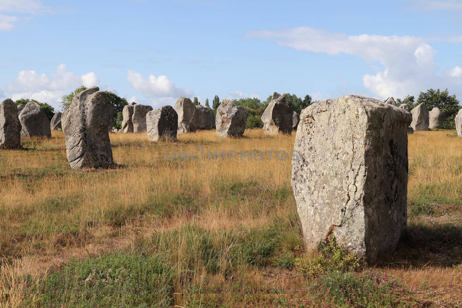 Carnac stones - Alignments of Kermario - rows of menhirs in Brittany by Mibuch