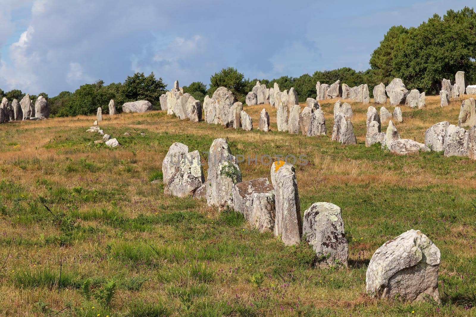 Carnac stones - Alignments of Kermario - rows of menhirs in Brittany by Mibuch