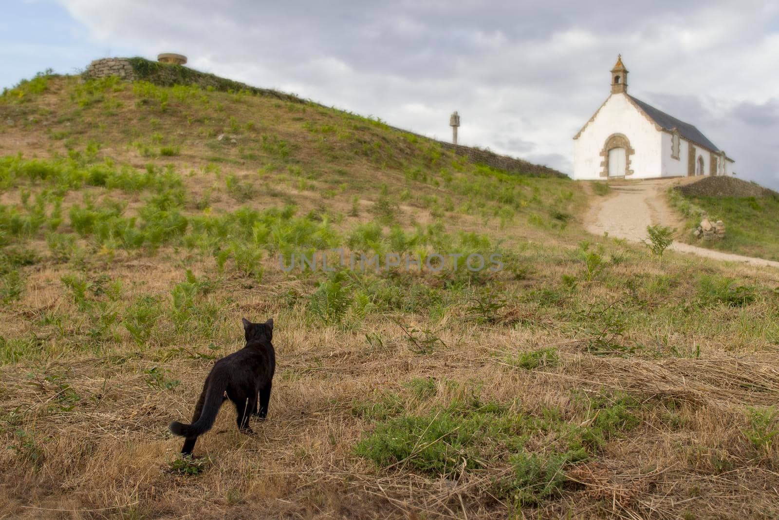 Saint-Michel tumulus and Chapel of Saint-Michel near Carnac in Brittany - tilt shift by Mibuch