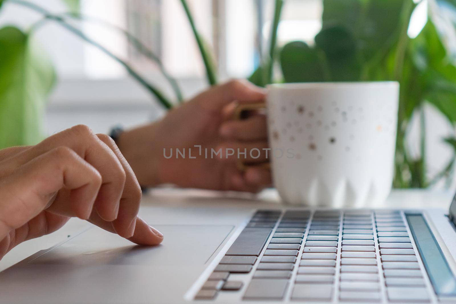 Woman using laptop and smartphone to work study in vacation cady at beach background. Business, financial, trade stock maket and social network concept.