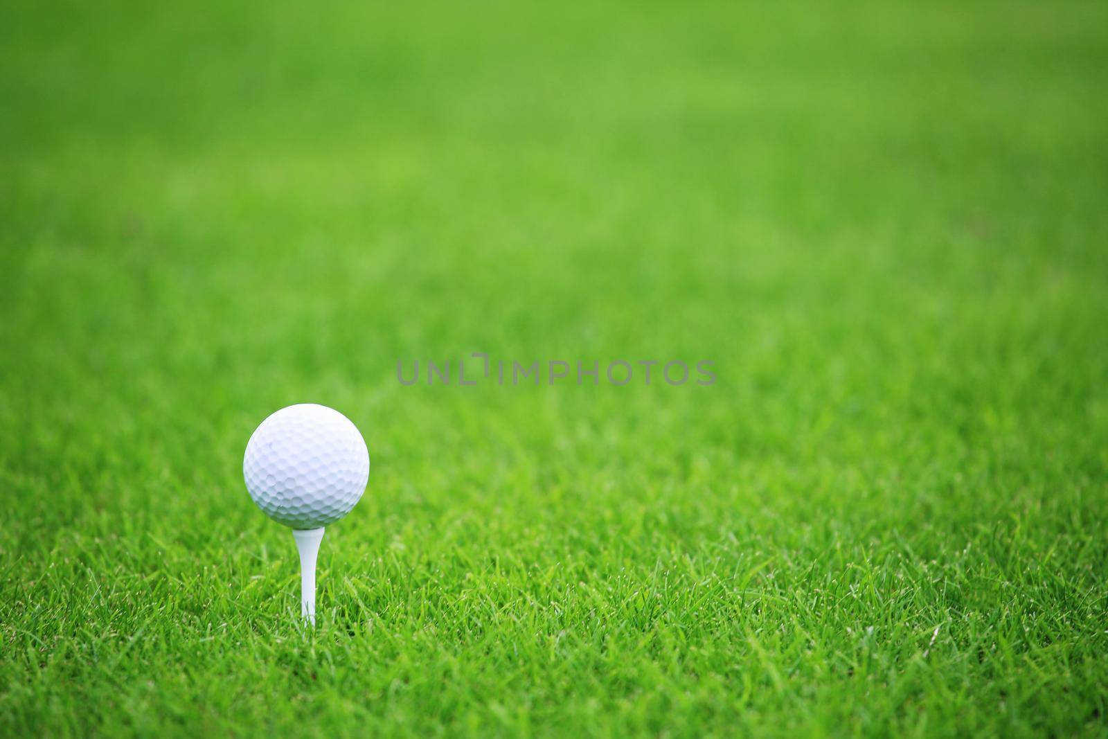 Golf ball on green grass background by destillat